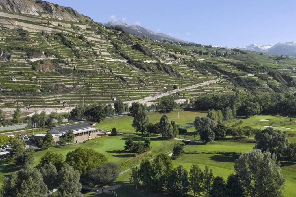 Vitis-Au Coeur Du Vignoble Valaisan Daire Saint-Léonard Dış mekan fotoğraf
