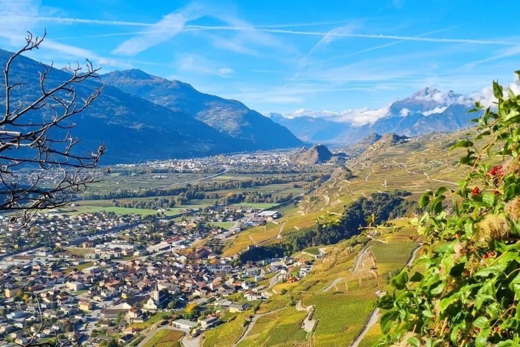 Vitis-Au Coeur Du Vignoble Valaisan Daire Saint-Léonard Dış mekan fotoğraf