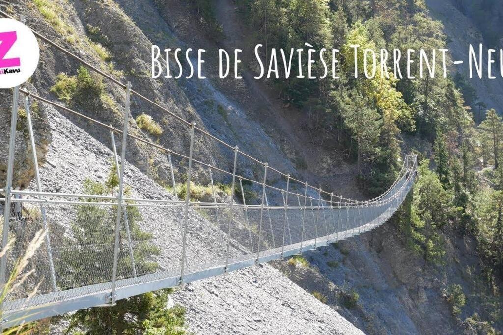 Vitis-Au Coeur Du Vignoble Valaisan Daire Saint-Léonard Dış mekan fotoğraf