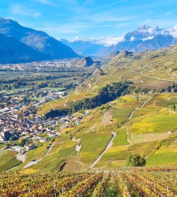 Vitis-Au Coeur Du Vignoble Valaisan Daire Saint-Léonard Dış mekan fotoğraf